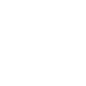 Borne IRVE